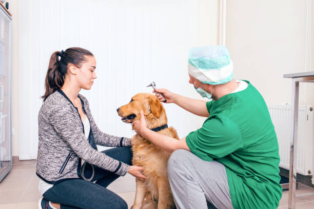 In-Home Puppy & Kitten Wellness Exams