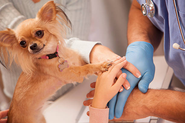 Quality-of-Life Consultation