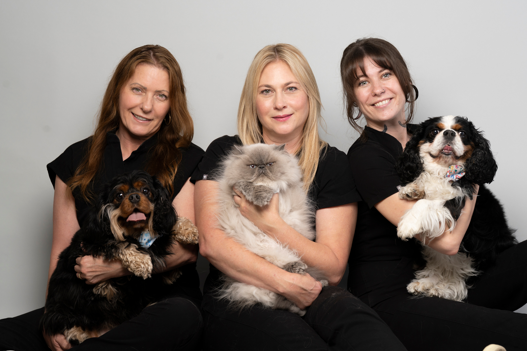 Vets ASAP team together with their pets