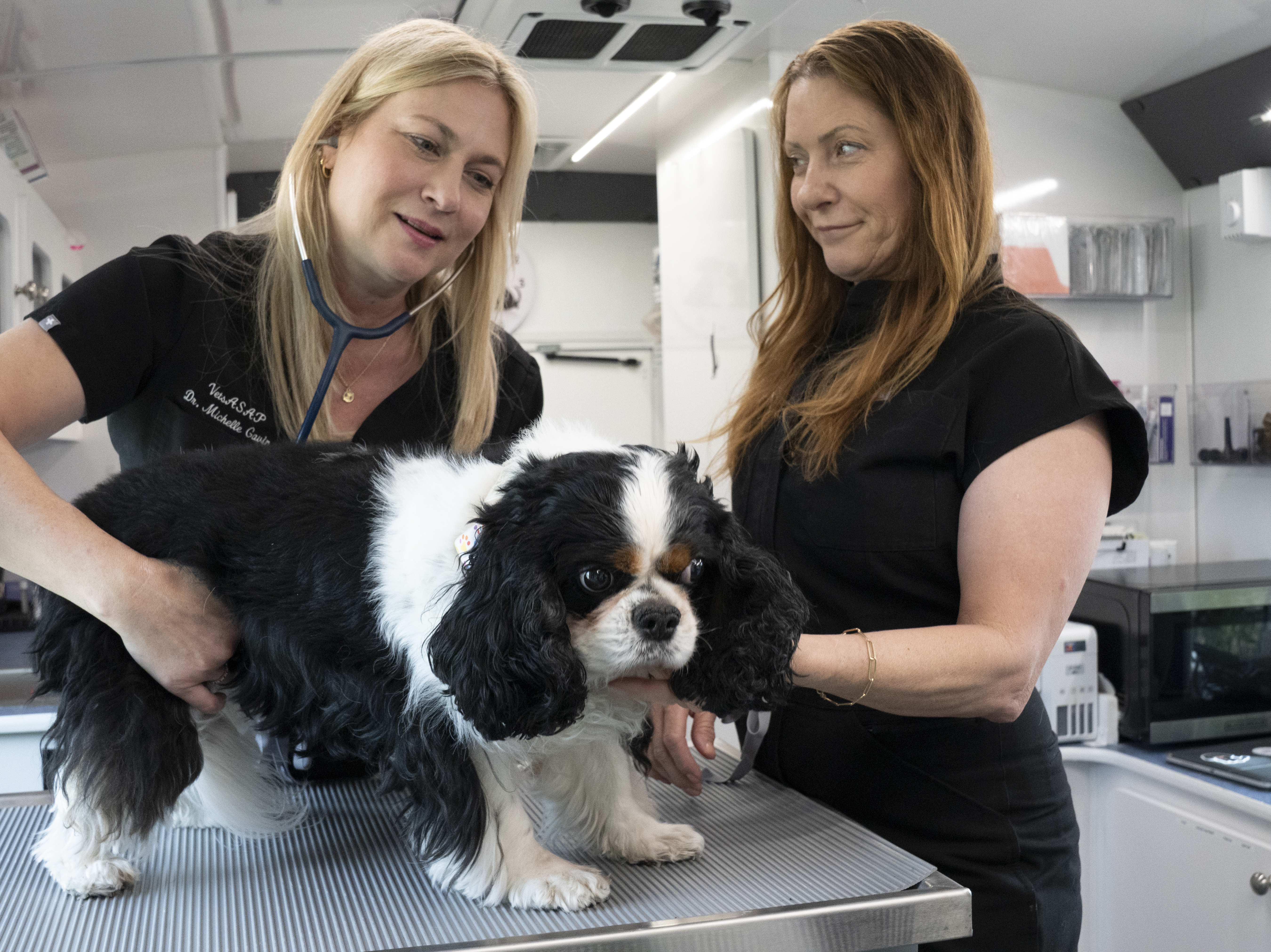 Dr. Caren and Sandy examining a Cavalier inside the mobile clinic
