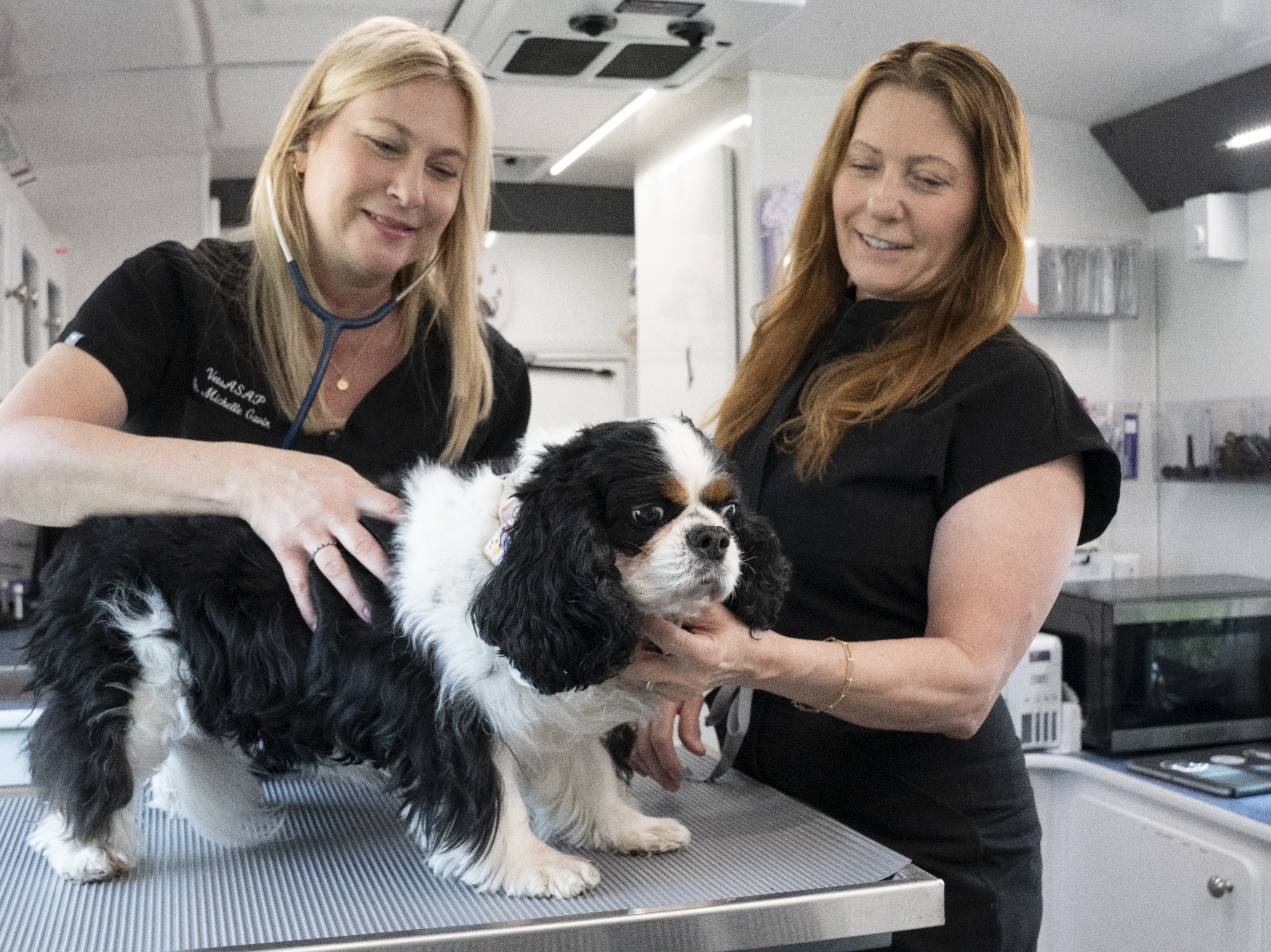 Dr. Caren and Sandy caring for a Cavalier King Charles Spaniel
