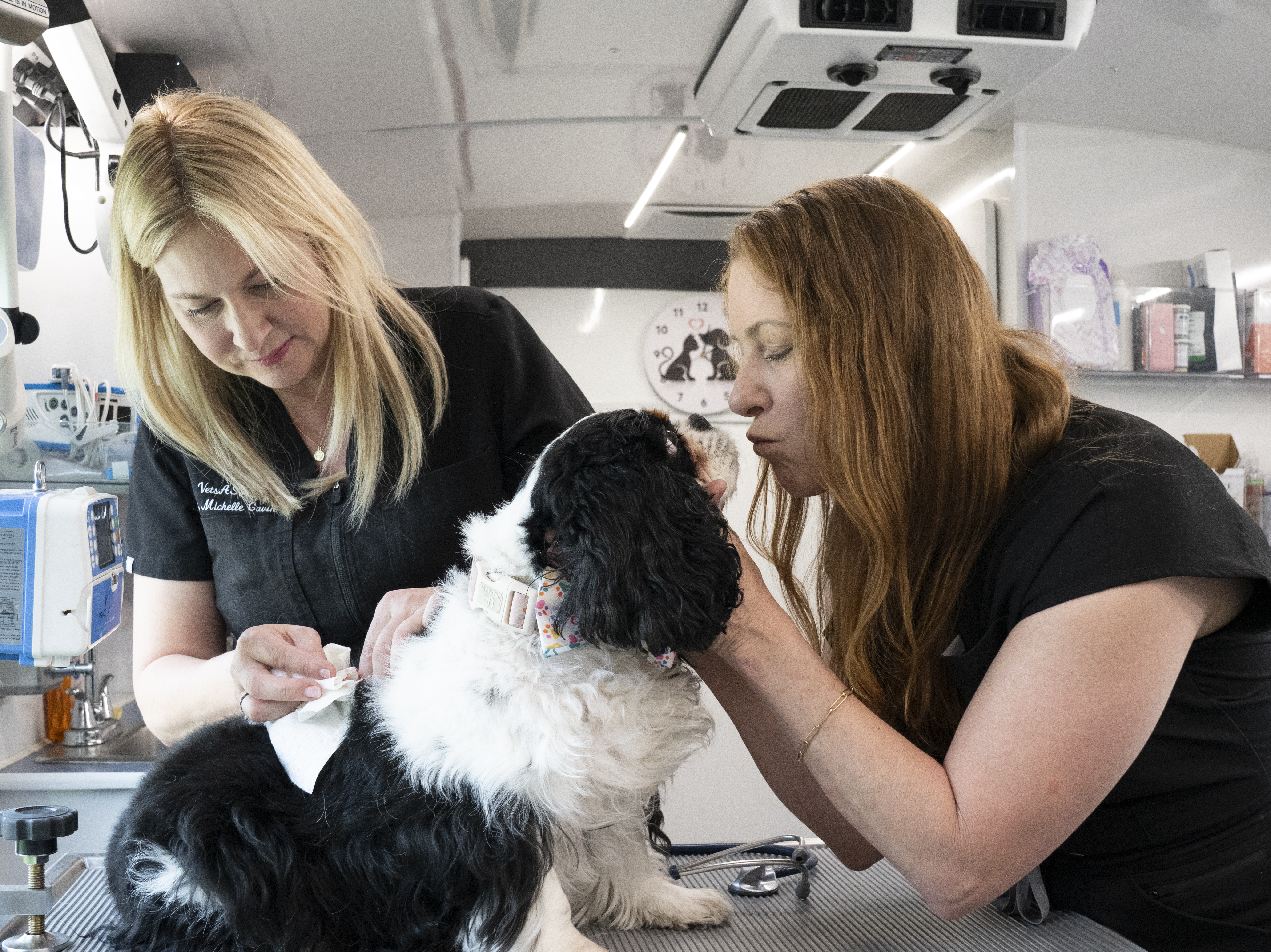 Sandy giving a kiss to a Cocker Spaniel patient in the van