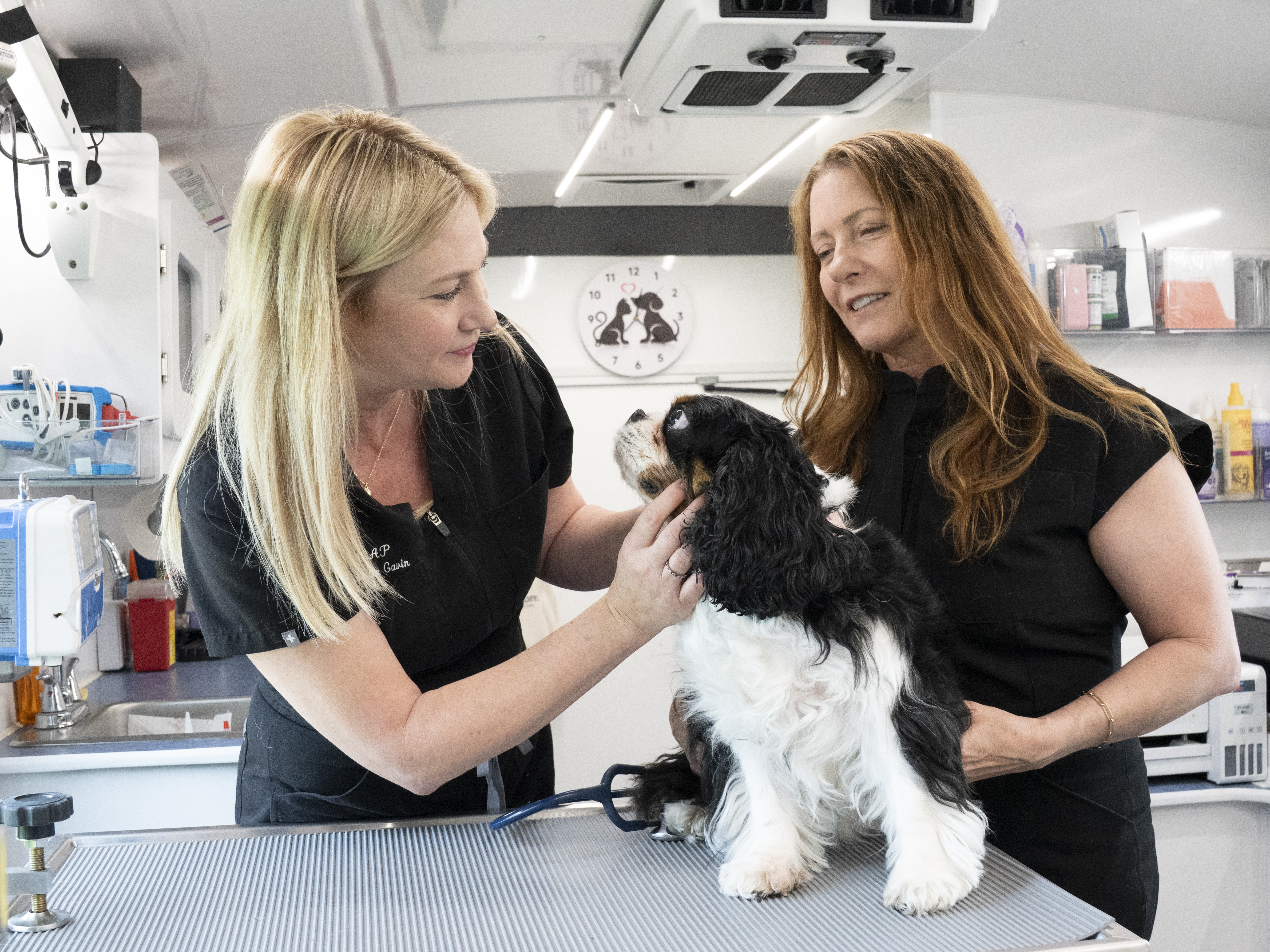Dr. Caren and Sandy with a happy Cavalier looking up