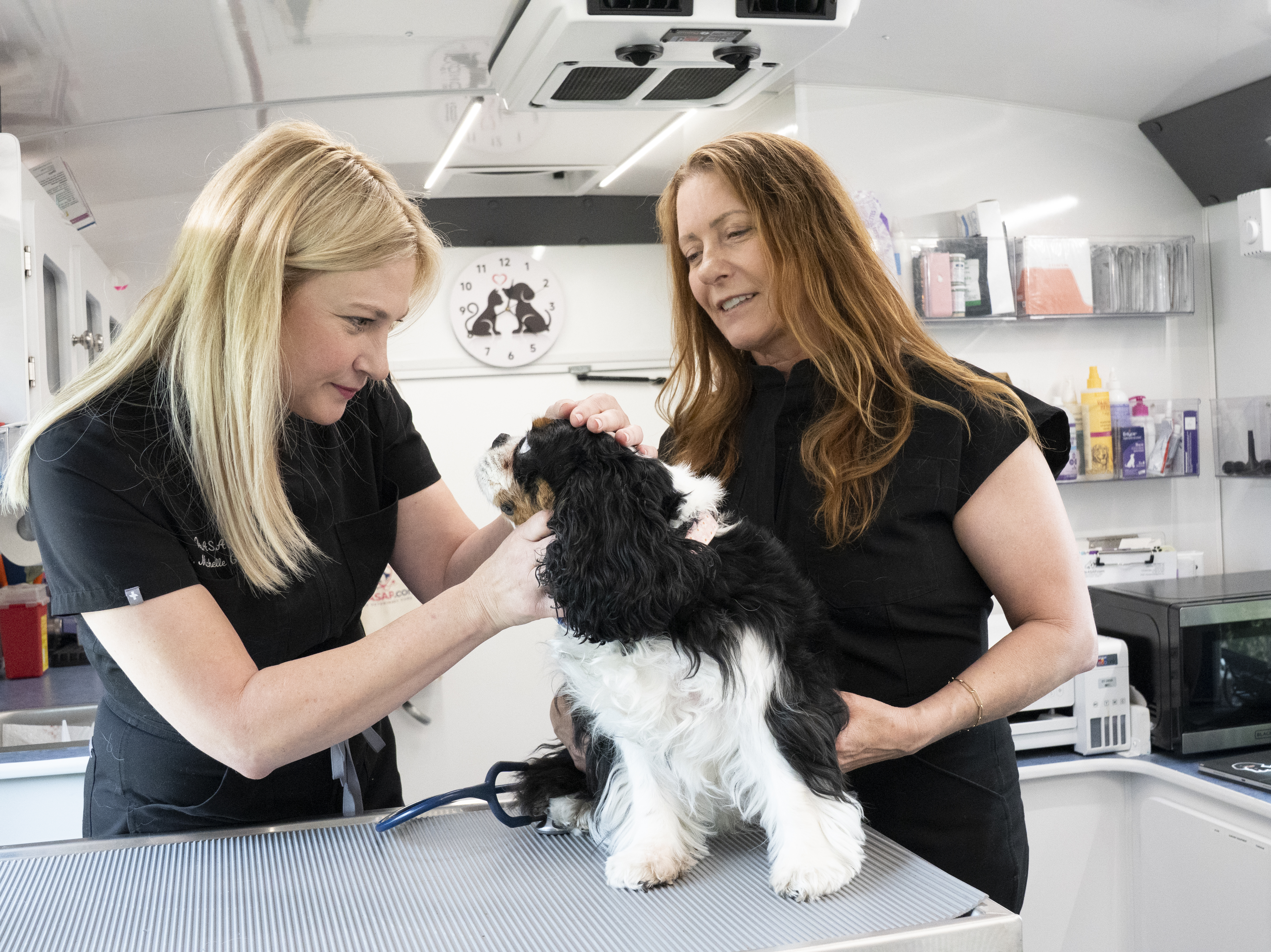 Dr. Caren examining a Cavalier's head while Sandy assists