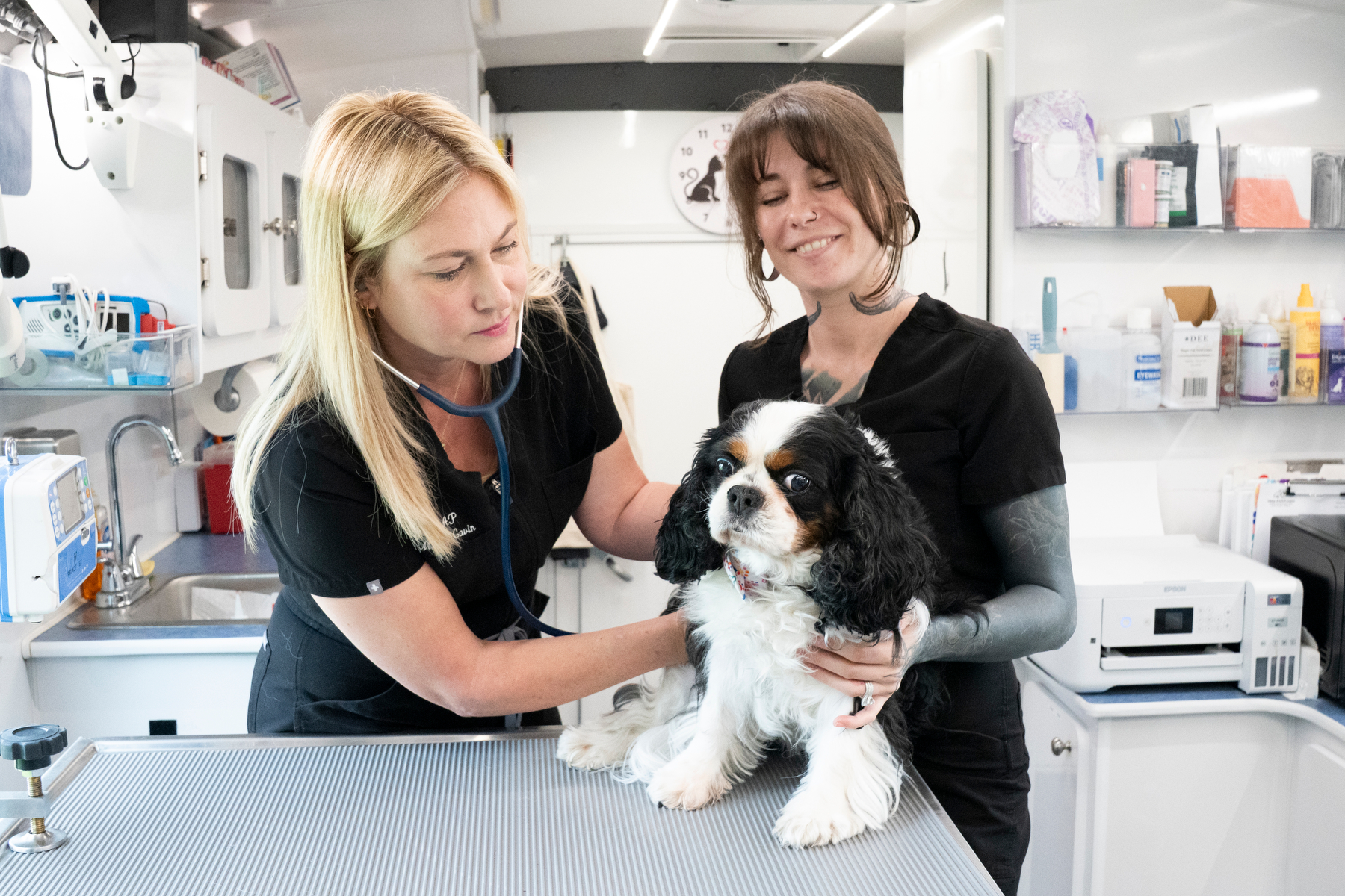 Dr. Caren and Stepheney examining a dog in the mobile van