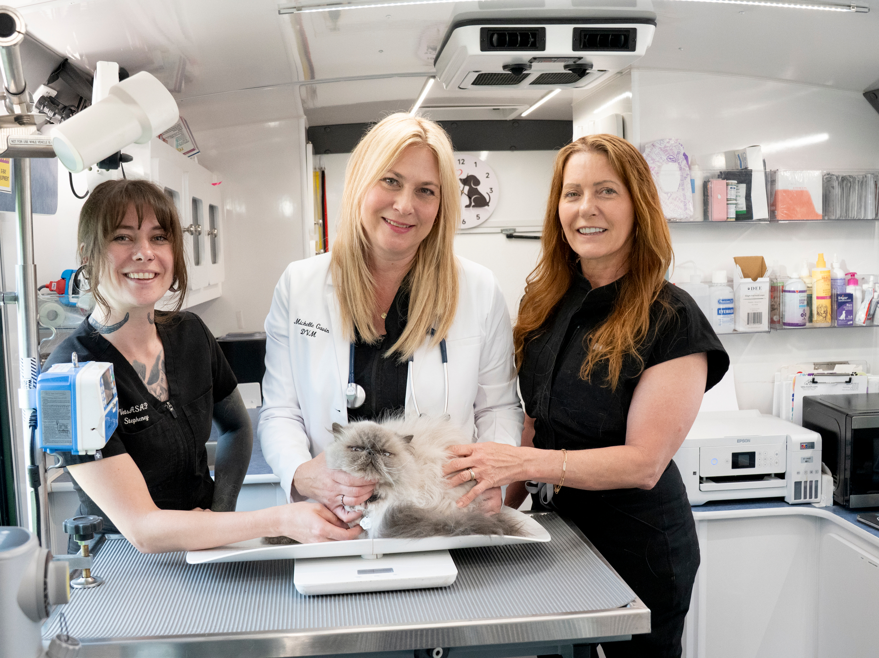 Full team with a Persian cat on the exam table in the van